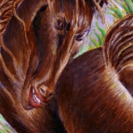 dark_horse2