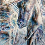 donkeyangel3a