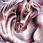 wild_and_free1
