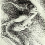 nereid1a