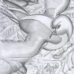 a wing a prey a song - sketches for animation project