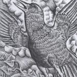 a wing a prey a song - sketches for animation project