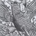 a wing a prey a song - sketches for animation project